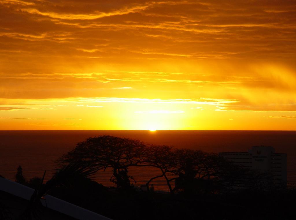 Umbrella Tree B&B Durban Esterno foto