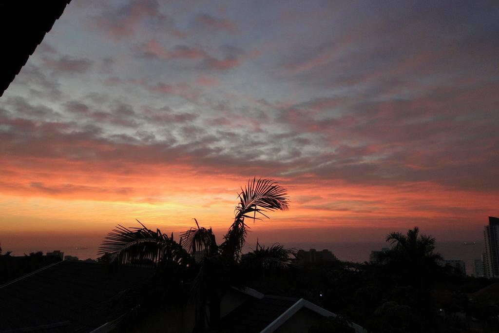 Umbrella Tree B&B Durban Esterno foto